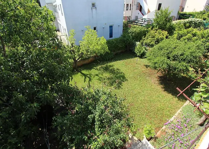 Antonija * 로비니